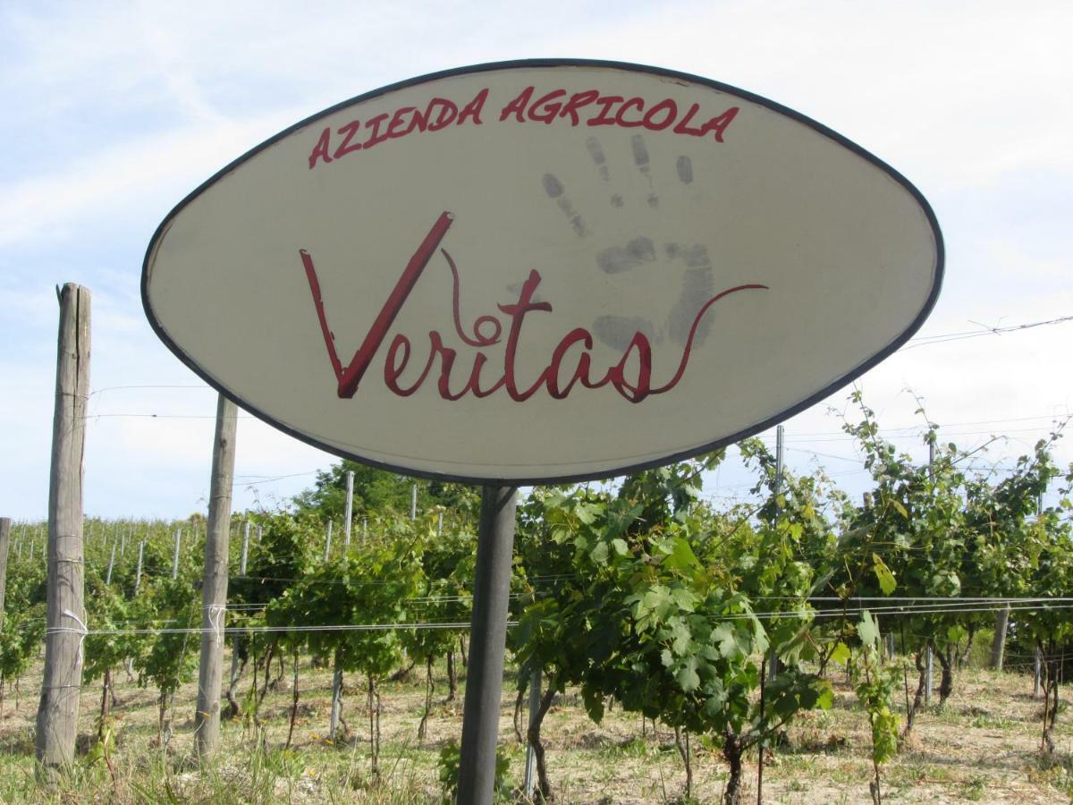 Agriturismo "Veritas" Bed & Wine Casaleggio Boiro Eksteriør bilde
